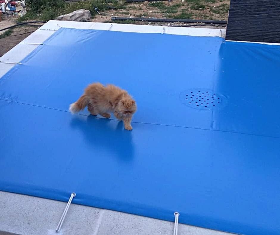 cobertor anti caida piscinas